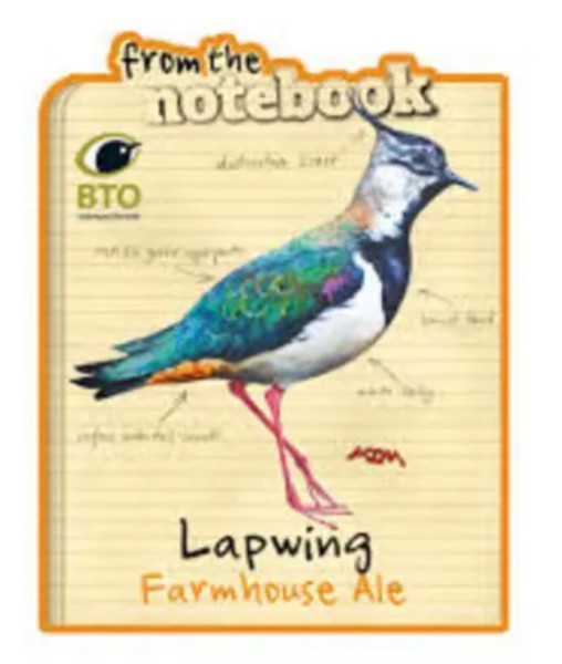 From The Notebook Lapwing