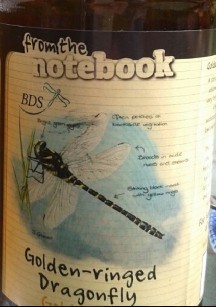 From The Notebook Golden Ringed Dragonfly