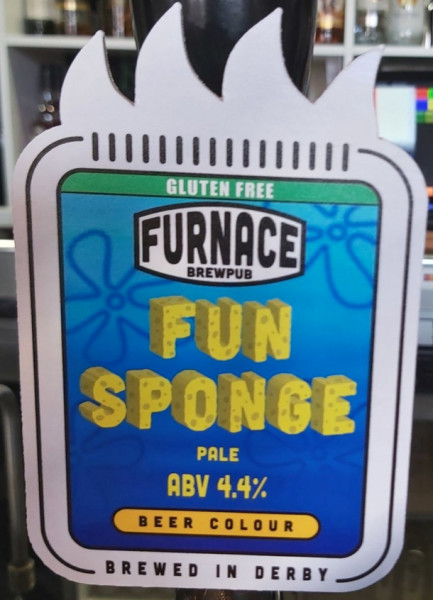 Furnace Brewpub Fun Sponge