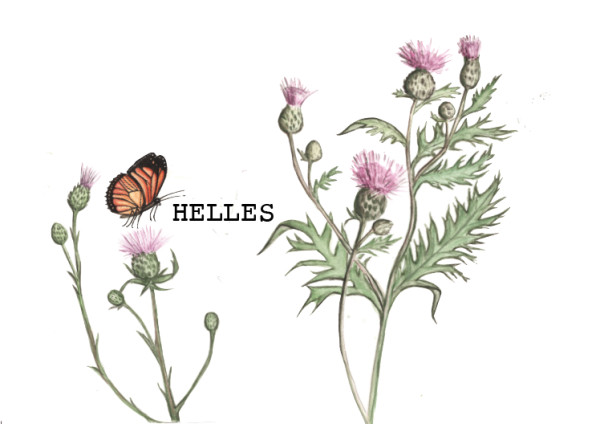 Munklägrets Microbrasserie Helles