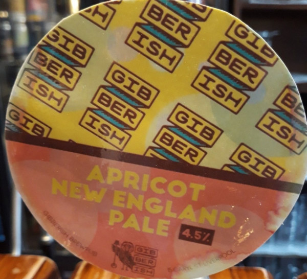 Gibberish Brewpub Apricot New England Pale
