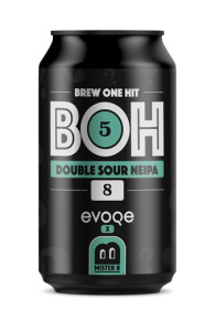 Mister B BOH 5 Double Sour NEIPA