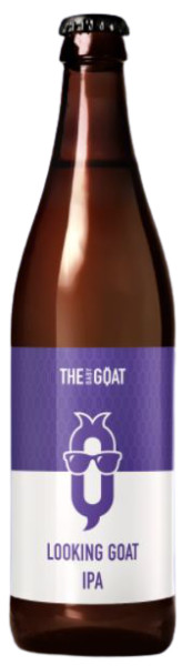The Baby Goat Looking Goat