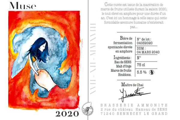 Ammonite Muse 2020