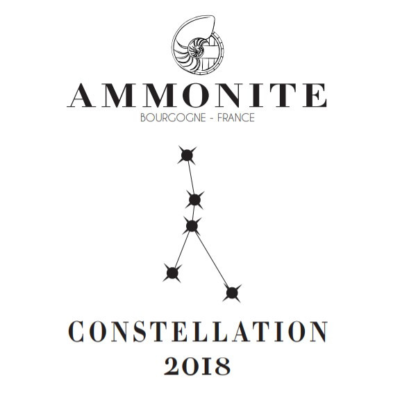 Ammonite Constellation 2018