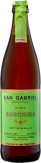 San Gabriel Buschina