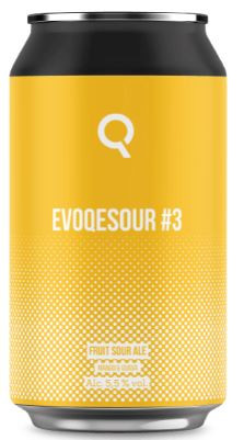 Evoqe Brewing Evoqesour #3