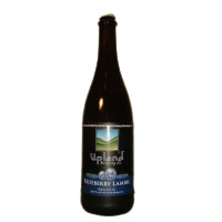 Upland Brewing Company Blueberry