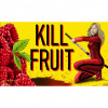 Cervesa Undarius Kill Fruit