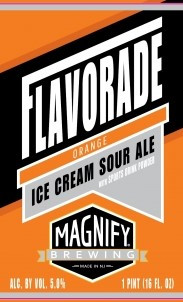 Magnify Brewing Company Flavorade Orange