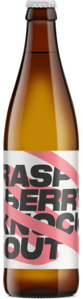 Browar Gzub Raspberry Knockout