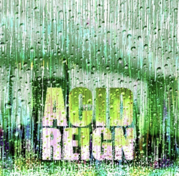 Lost Industry Brewing Acid Reign