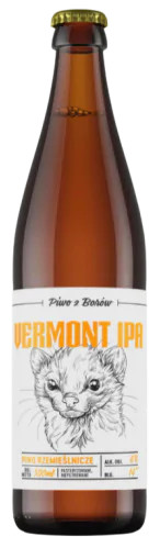 Przystanek Tleń Vermont IPA