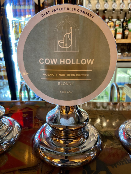 Dead Parrot Beer Co. Cow Hollow