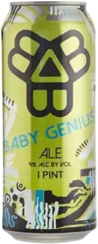 Bissell Brothers Brewing Baby Genius
