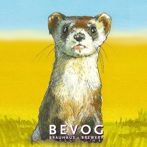 Bevog Brewery Extinction Is Forever: Black-Footed Ferret