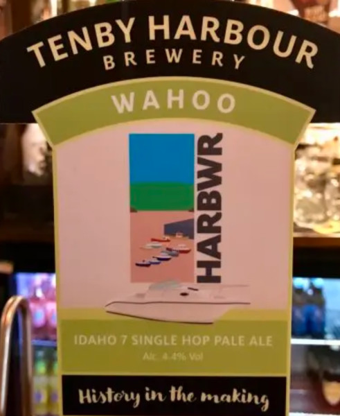 Harbwr Tenby Wahoo