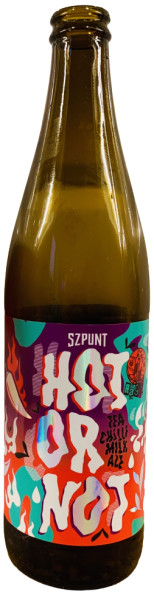 Szpunt Browar Rzemieślniczy Hot Or Not