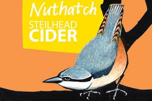 Steilhead Cider Nuthatch