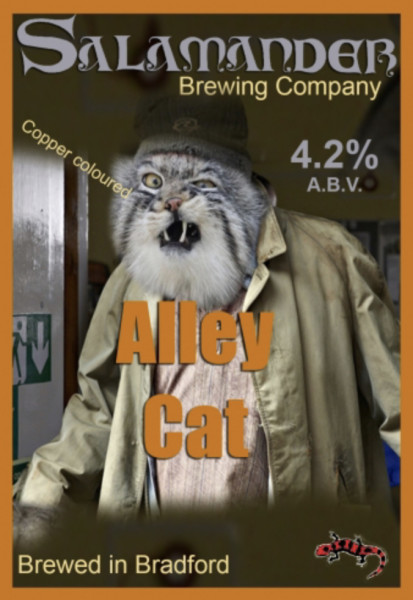 Salamander Alley Cat