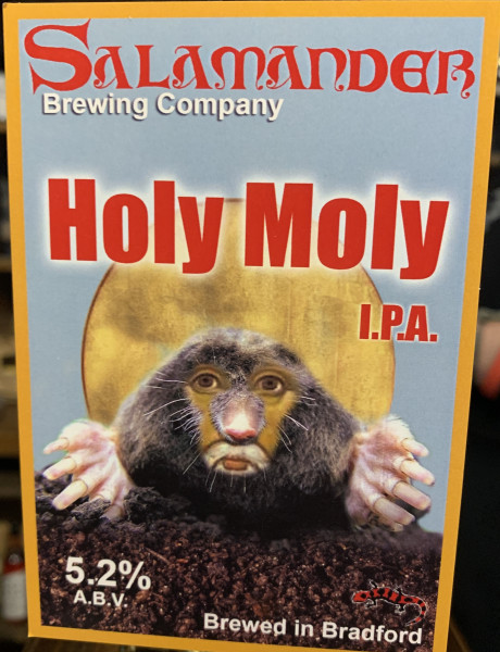 Salamander Holy Moly