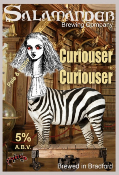 Salamander Curiouser Curiouser