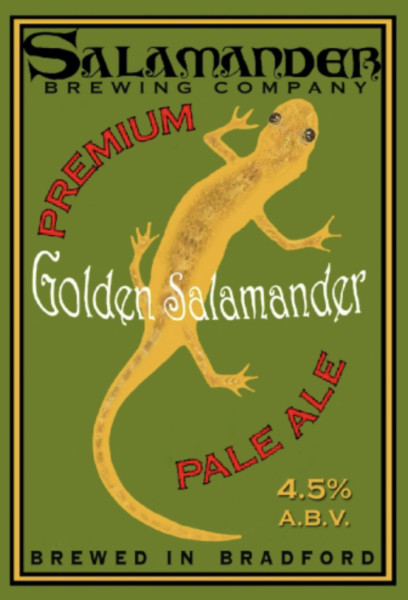Salamander Golden Salamander