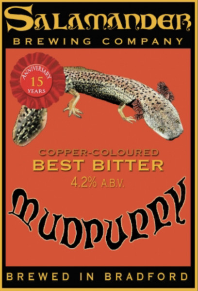 Salamander Mudpuppy
