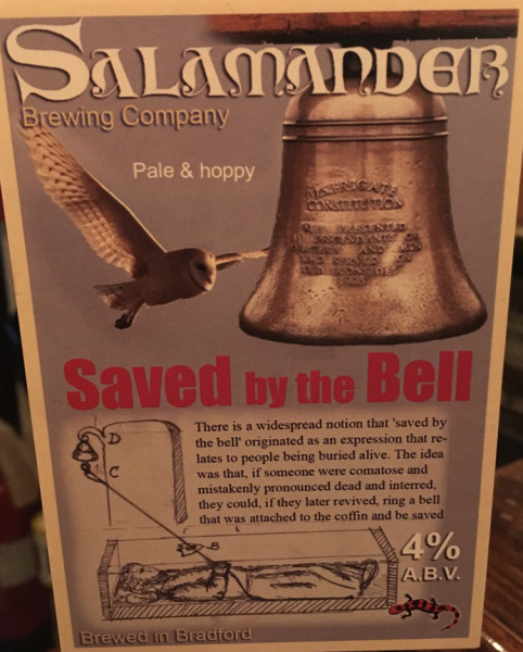 Salamander Saved By The Bell