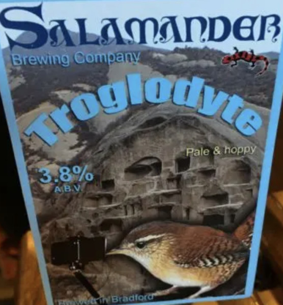 Salamander Troglodyte