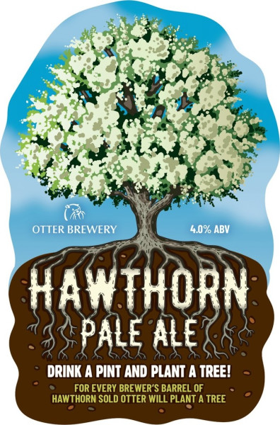 Otter Brewery Hawthorn