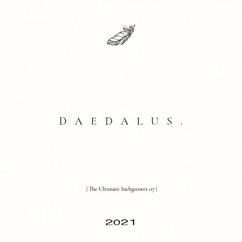 Brouwerij Bravoure. Daedalus