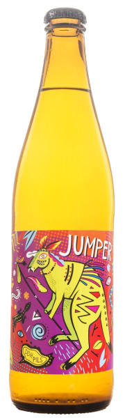 Dwóch Braci Jumper