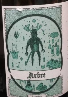 Ammonite Arbre