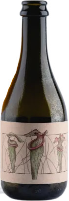 Speciation Artisan Ales Genetic Drift With Peaches