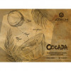 Brasserie Atrium Cocada