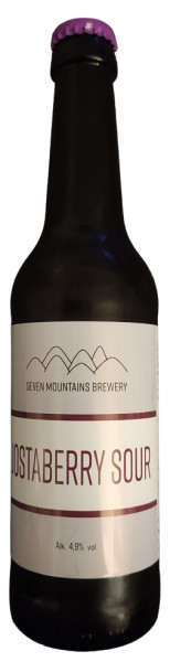 Seven Mountains Brewery Jostaberry Sour