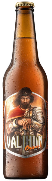 Pivovarna Valjhun Orange IPA