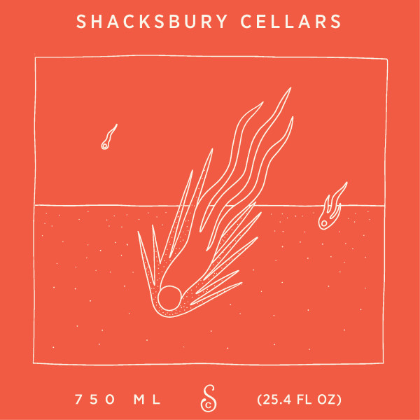 Shacksbury Down To Earth