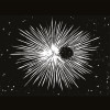 La Source Beer Co. Clair Obscur