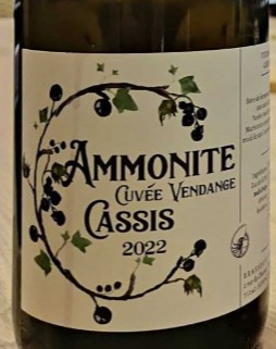 Ammonite Vendange Cassis 2022