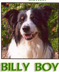 Poachers Billy Boy