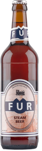 Fur Bryghus Steam Beer