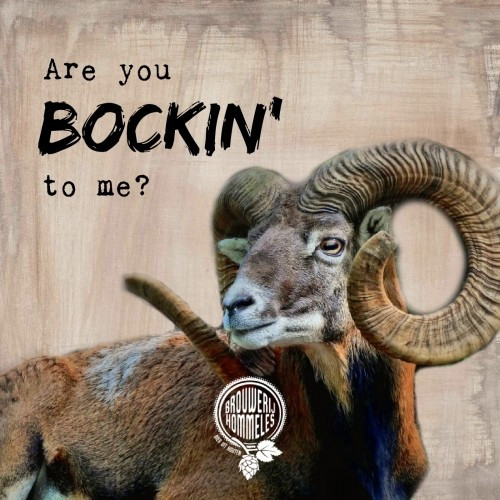 Brouwerij Hommeles Are You Bockin' To Me?
