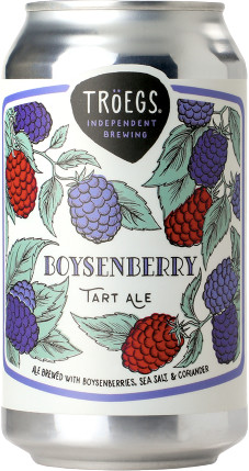 Tröegs Independent Brewing Boysenberry Tart Ale