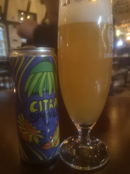 Ten Hands Brewing Citra Springs