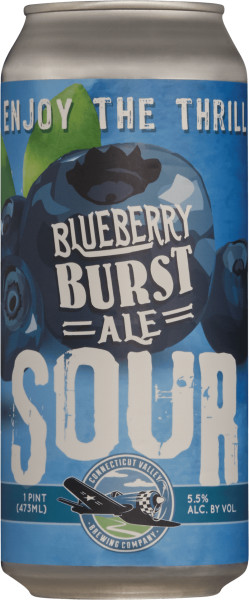 Connecticut Valley Brewing Blueberry Burst