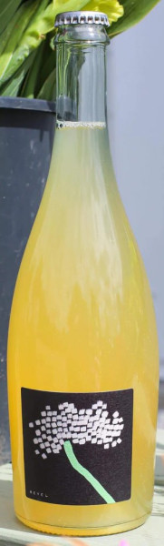Revel Cider Ostara: Elderflower