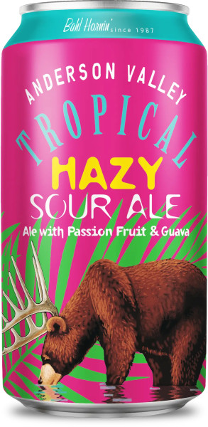 Anderson Valley Brewing Company Tropical Hazy Sour Ale