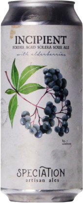 Speciation Artisan Ales Incipient With Elderberries